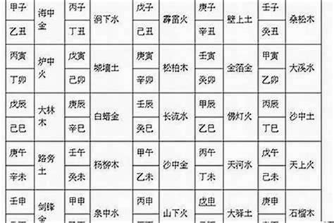 丙子日柱配偶|合八字 丙子日柱配偶命数特征 地支为子幽默风趣